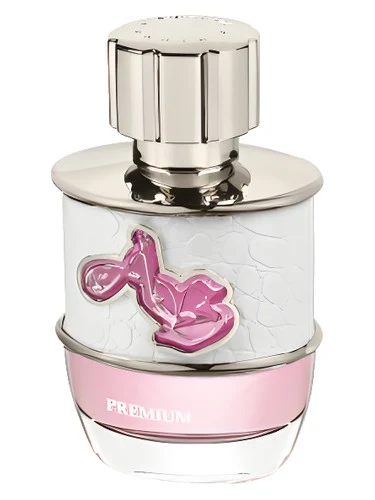 Ab Spirit Millionaire Premium