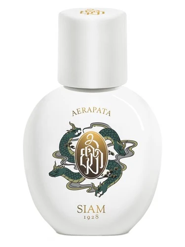 Aerapata