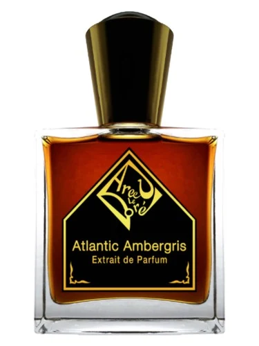 Atlantic Ambergris