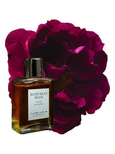 Bohemian Rose