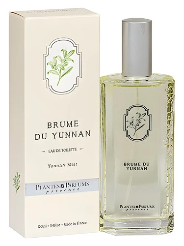 Brume du Yunnan