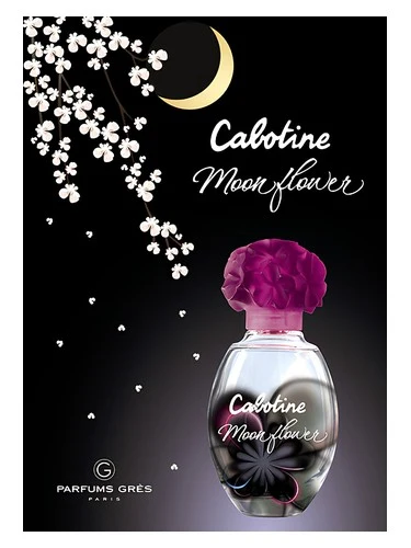Cabotine Moon Flower