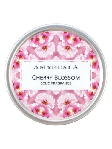 Cherry Blossom
