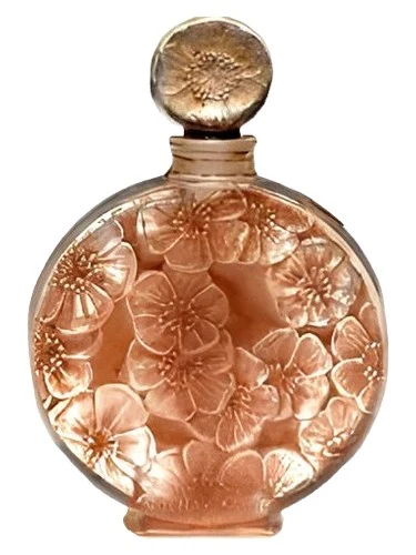 Chypre Ambre