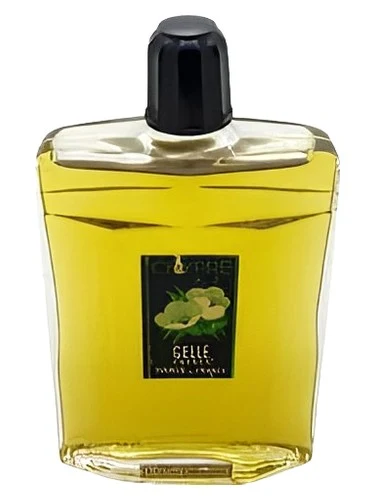Chypre Cologne