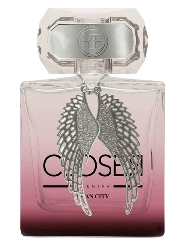 Closer Swan City