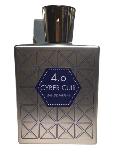 Cyber Cuir