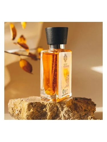 DOR Zori în libertate