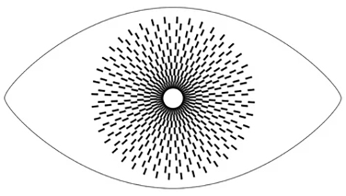 The Eyes Are Always There