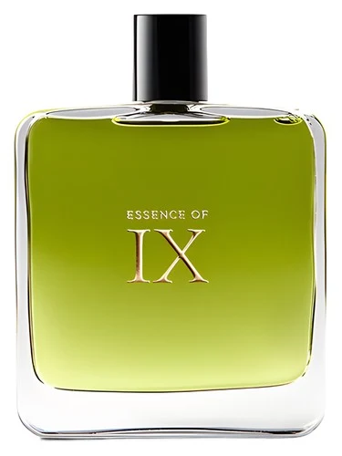 Essence of IX