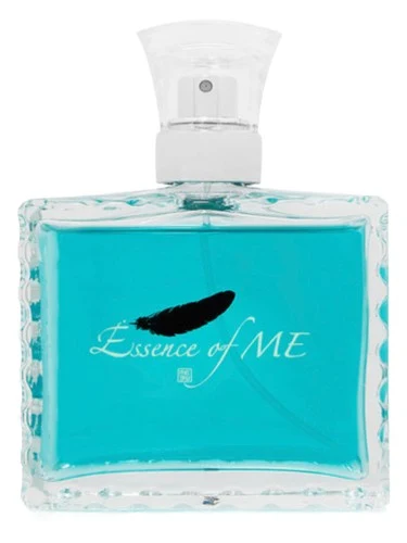 Essence of ME