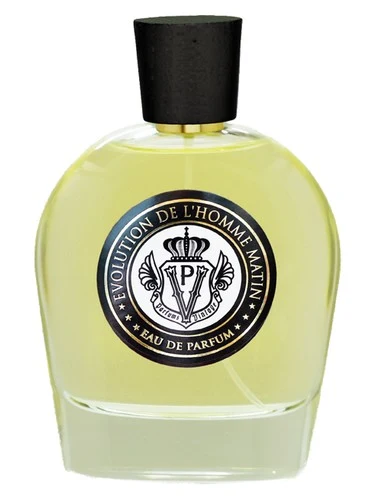 Evolution De L’Homme Matin