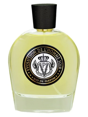 Evolution De L'Homme Soir