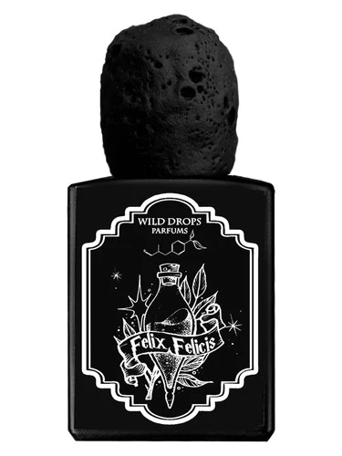 Felix Felicis