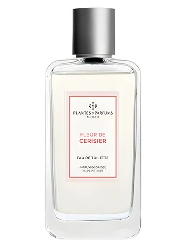 Fleur de Cerisier