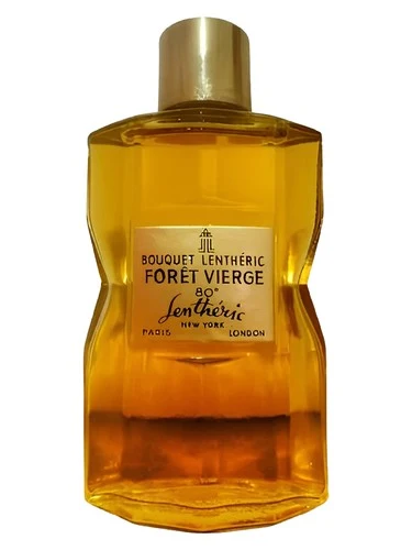 Forêt Vierge