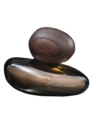 Fusion Sacrée Obscur