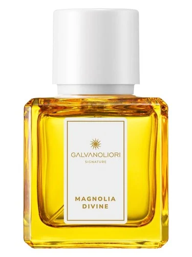 Galvanoliori Magnolia Divine