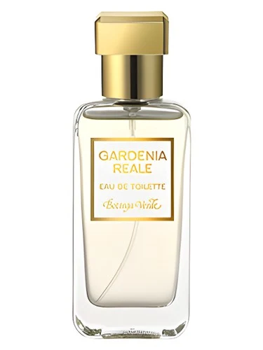 Gardenia Reale
