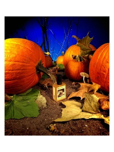 Gunnerson's Pumpkin Patch