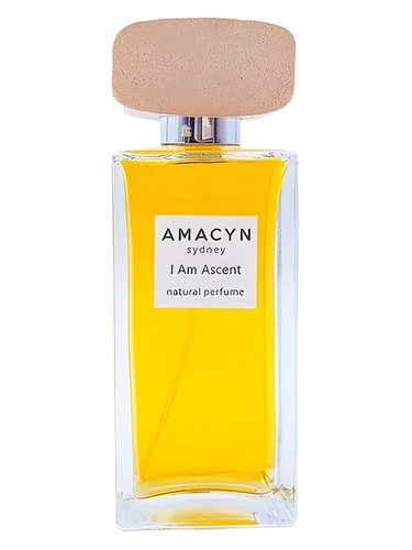 I Am Ascent