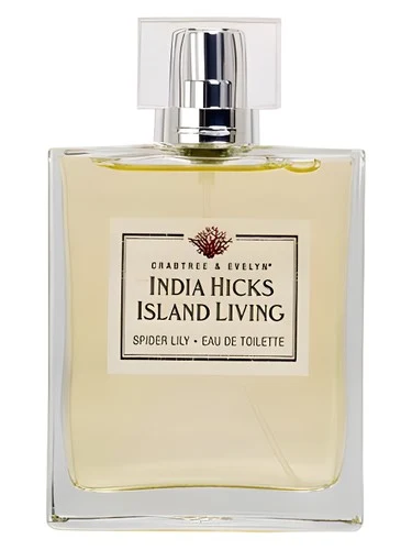 India Hicks Island Living - Spider Lily