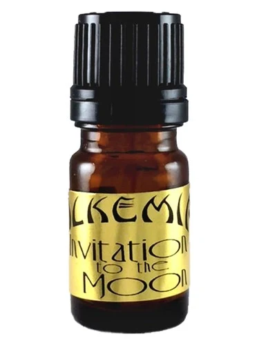 Invitation to the Moon