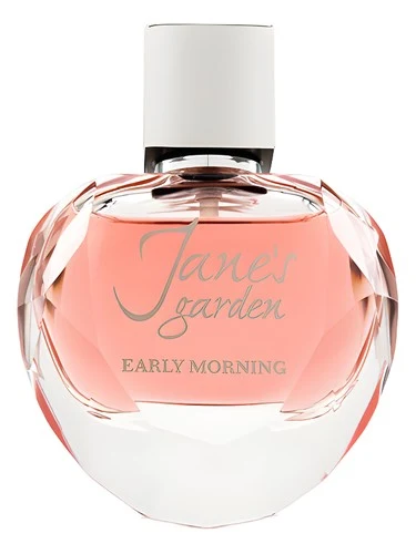 Jane’s Garden Early Morning