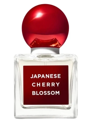 Japanese Cherry Blossom 2020 Edition