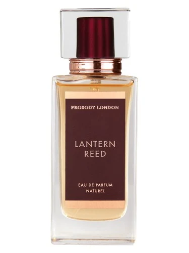 Lantern Reed