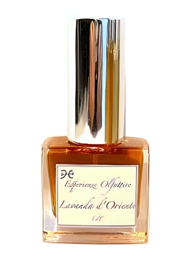 Lavanda d’Oriente