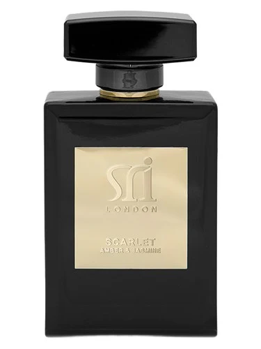 Magenta Midnight Rose & Musk