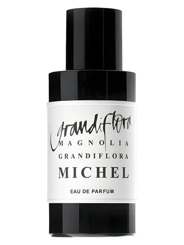 Magnolia Grandiflora Michel