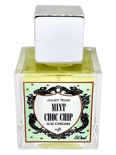 Mint Choc Chip Ice Cream