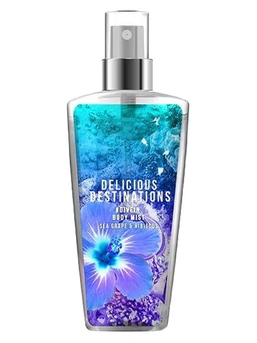 Missing DNR collection delicious destinations