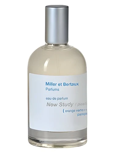 New Study (Postcard)