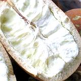 Copoazú (cacao blanc)