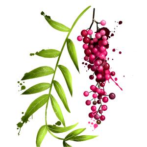 Peruanischer Pfeffer