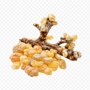 Resina del árbol del incienso Boswellia