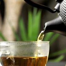 Té rooibos