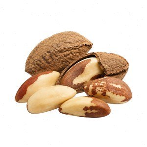 Brazil Nut