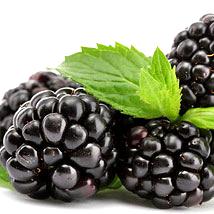 Mûre (framboise noire)