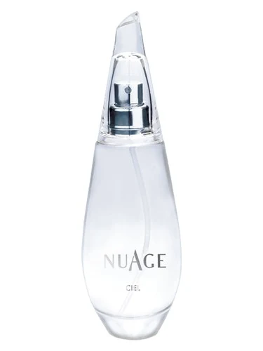 Nuage № 107