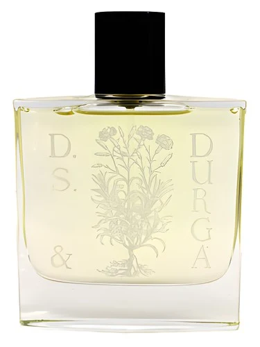 Osmanthus