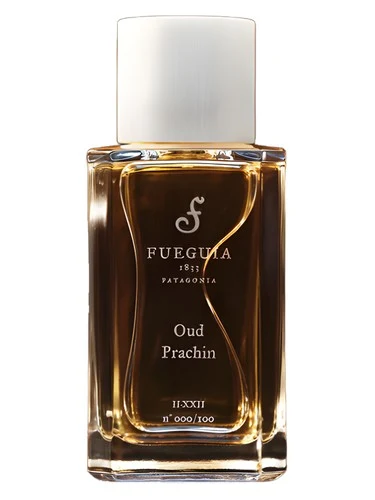 Oud Prachin