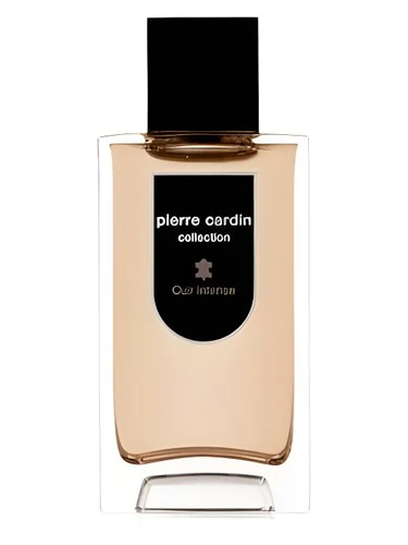 Pierre Cardin Collection Cuir Intense
