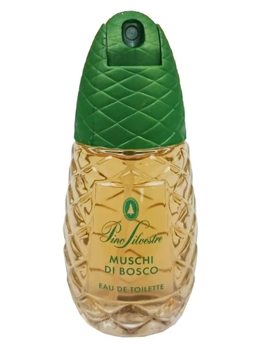 Pino Silvestre Muschi Di Bosco