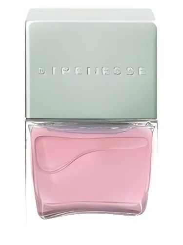 Plum Blossom & Sandalwood