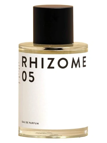 Rhizome 05