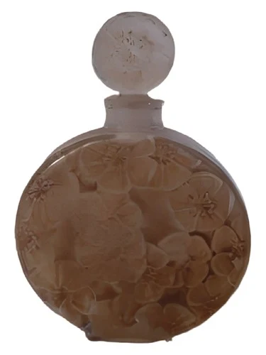 Rose Brumaire